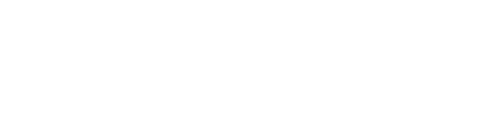True Anomaly logo white