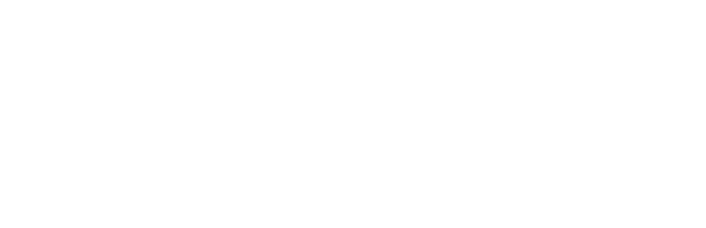 True Anomaly logo white